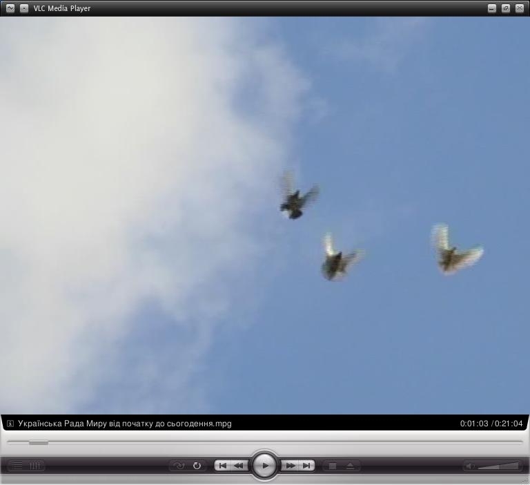 УКРАЇНСЬКА РАДА МИРУ: ВІД ПОЧАТКУ ДО СЬОГОДЕННЯ